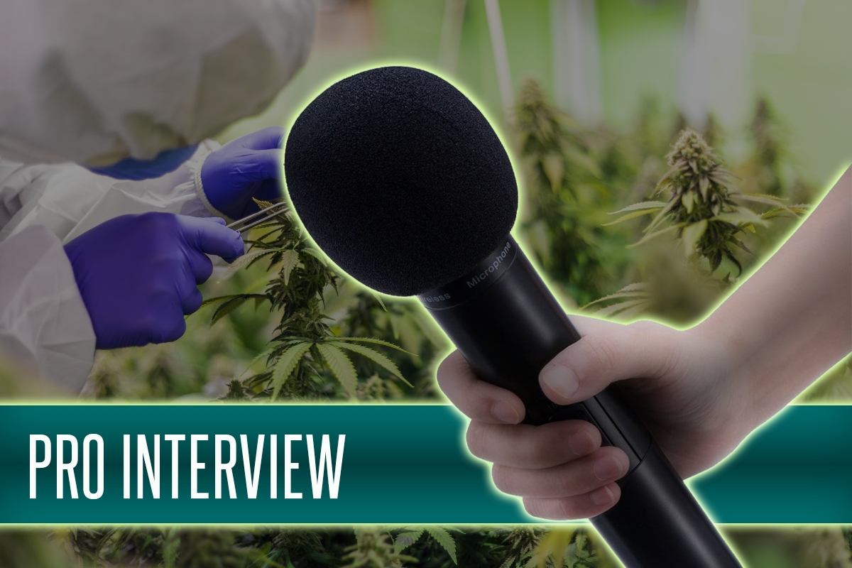 pro-cannabis-interview